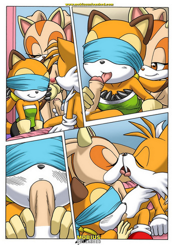 Cover of Sonic Project XXX 2.5